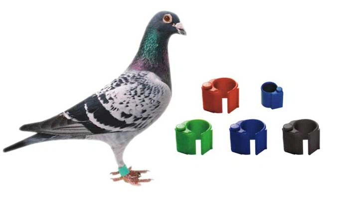 یراق چفتی اصلی 100 تایی